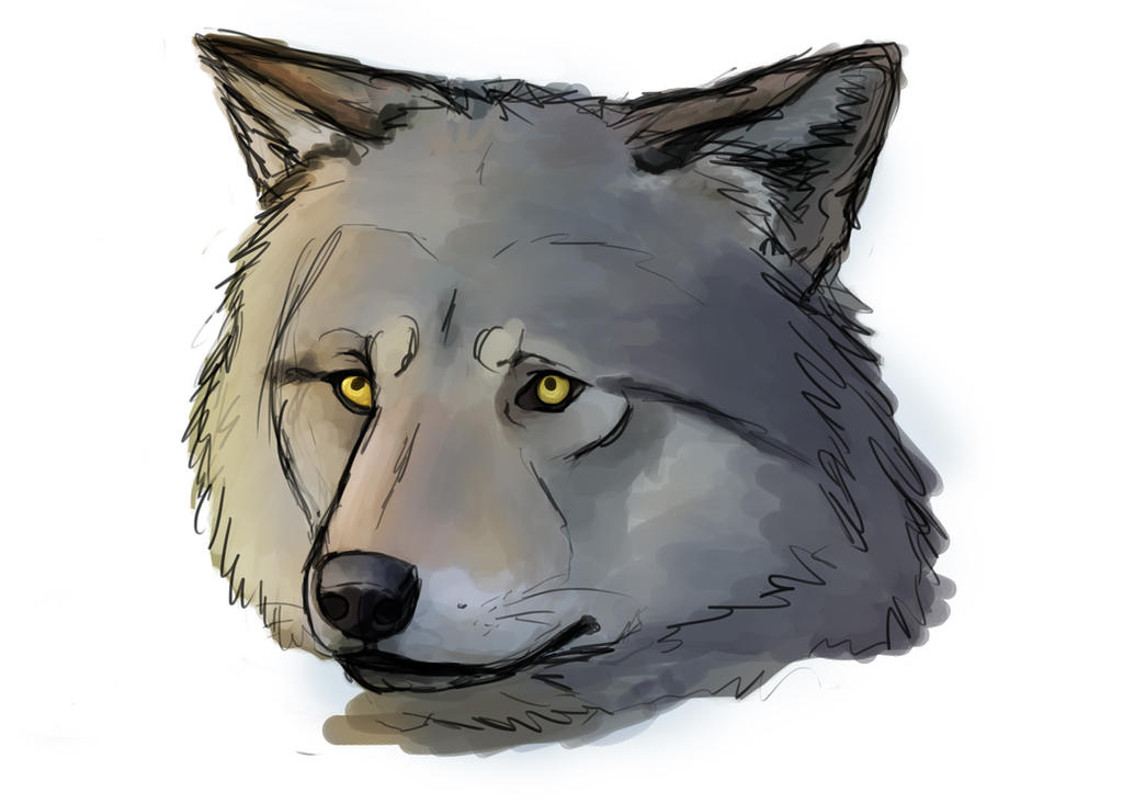 Wolf Head 1