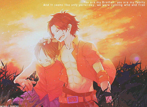 Portgas D Ace Monkey D Luffy One Piece Gif By Notmi On Deviantart