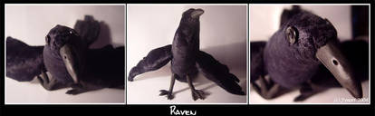 + Raven +