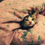 wallpaper cat :D