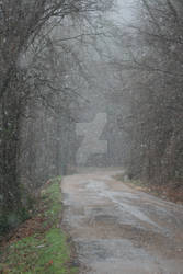 Snowy Country Road