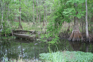 Swamp Relics