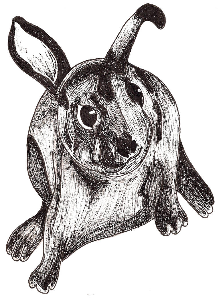 Tickle Rabbits 'Tickle the rabbit' by IllustratedYarn on DeviantArt