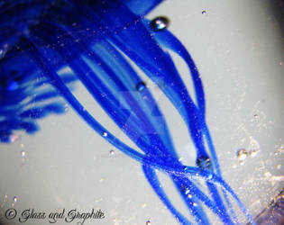 Cobalt Jellyfish