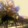 Autumn in the Park 02