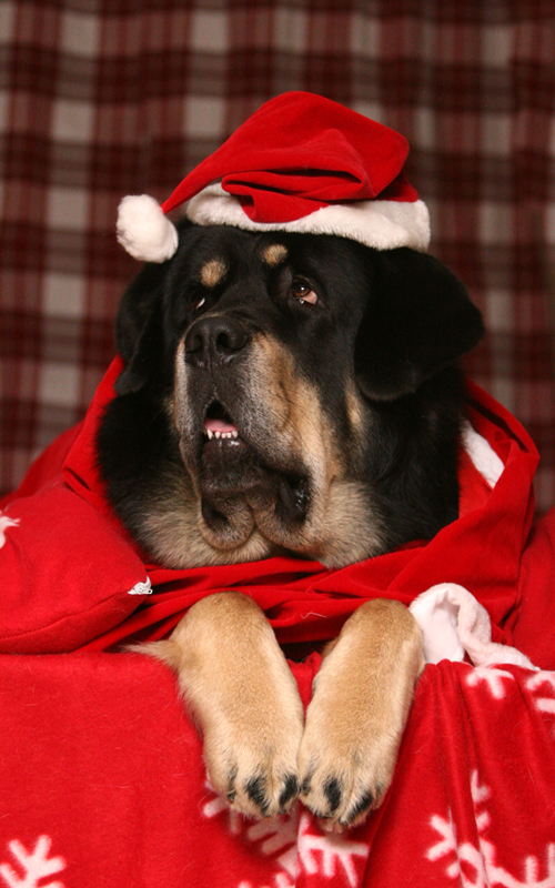 Santa Zodd by SaNNaS