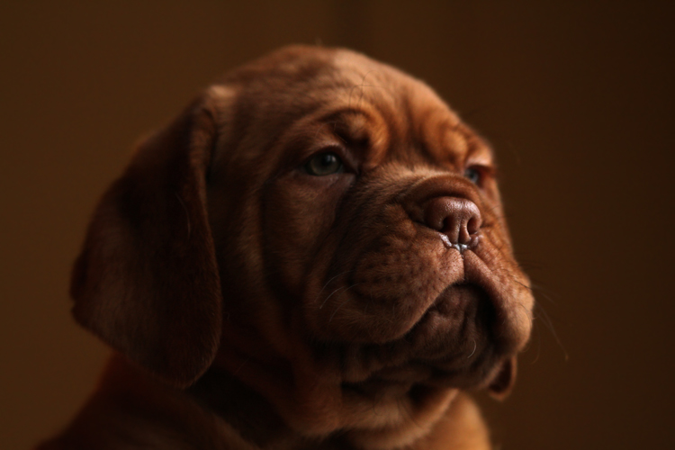 Tiny Mr. Wrinkle