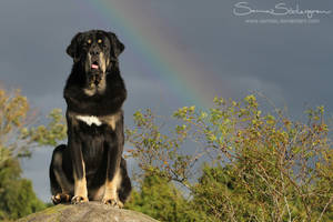 At the end of the rainbow