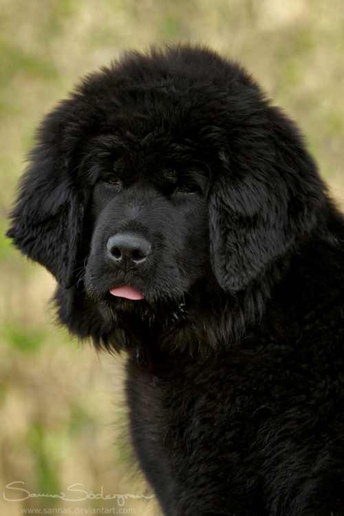 Tiny pink tongue