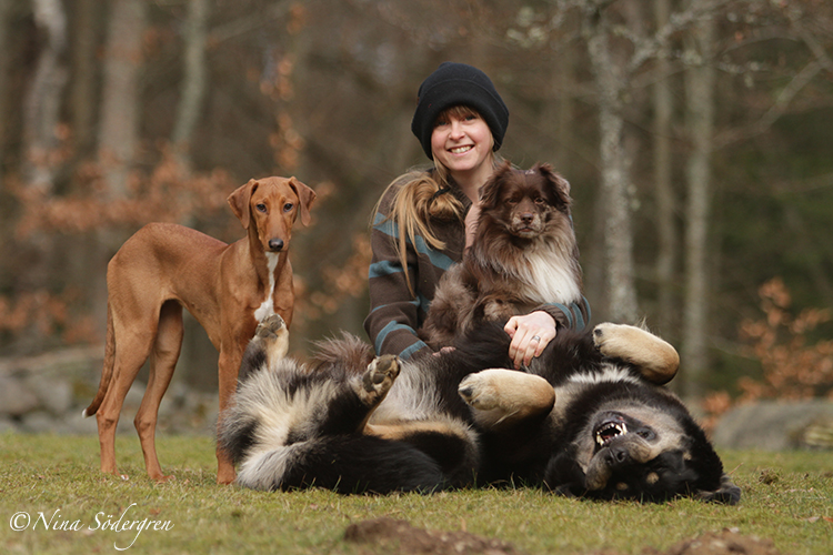 My pack by SaNNaS