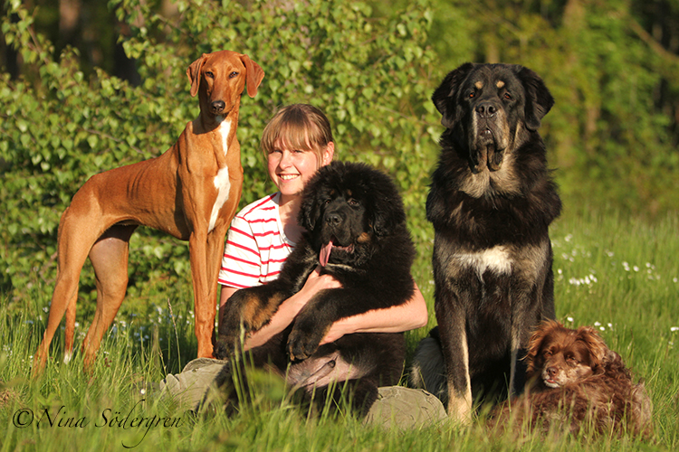 Me and my pack by SaNNaS