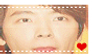 Donghae Stamp