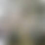 Photo Prize 39