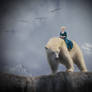 Polar Bear Rider