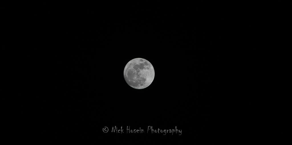 Moon Beever Super Beaver Moon by Drunkular on DeviantArt
