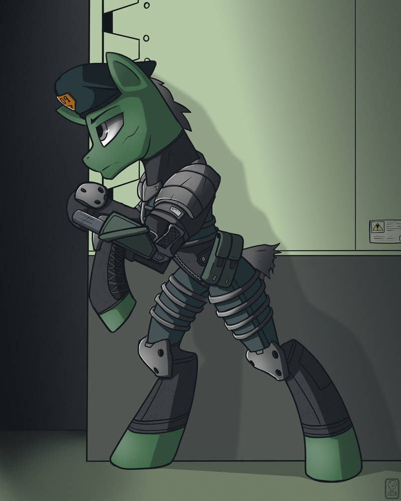 Mlp Fallout Oc Commission - MLP/Fallout Equestria OC by PsychicDiesel on DeviantArt