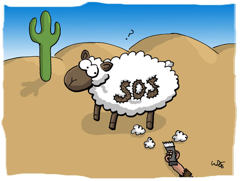 SOS Sheep