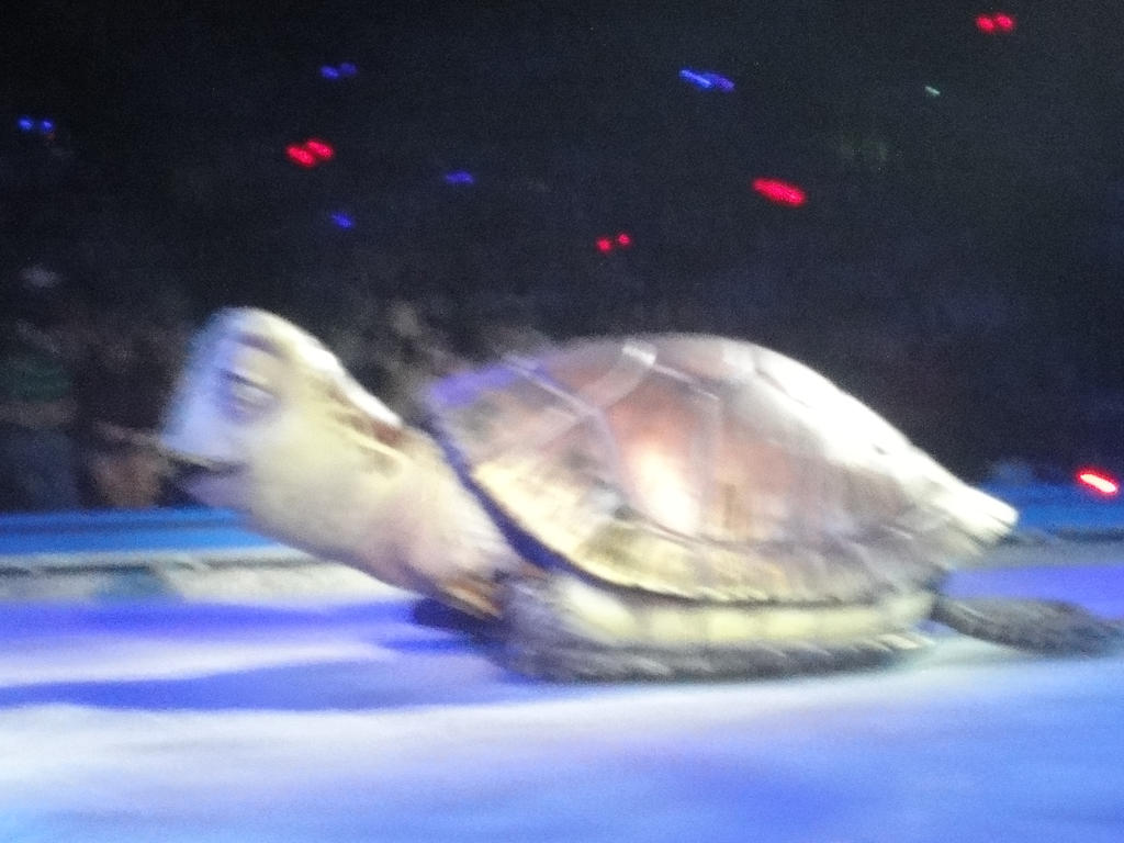 Disney on ice 16 Cardiff 2017 by MightyMorphinPower4 on DeviantArt Disney on ice 16 Cardiff 2017 by MightyMorphinPower4 on DeviantArt