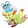 Pokemon Y and X starters
