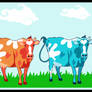 Moo Color Cattle Call