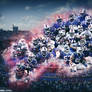 Buffalo Bills Wallpaper