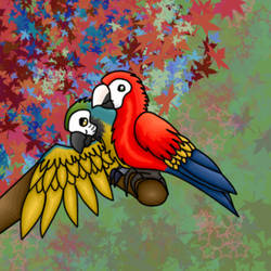 2 Little Macaws :3