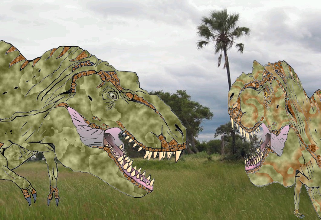 Tyrannosaurs on the hunt