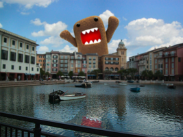 Scenic Domo