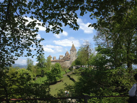 Chateau du Rapperswil