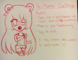 pen challenge