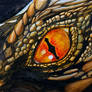 Eye of Smaug