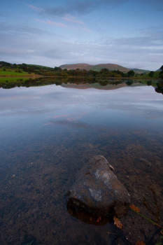 Tarn