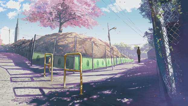 5 Centimeters Per Second