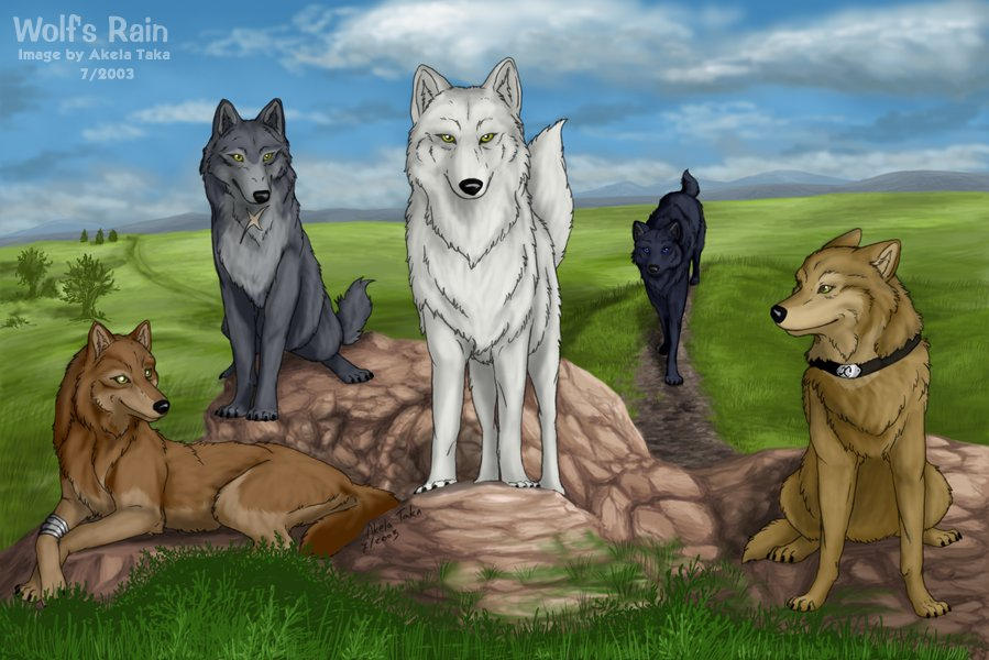 All Five Wolves Together by akelataka on DeviantArt