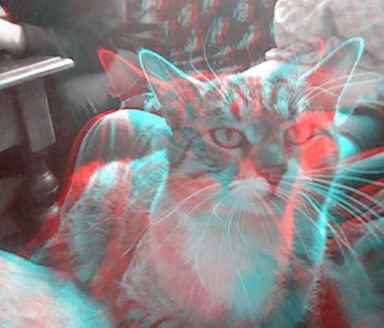 Kitty 3D