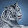 White Tiger