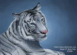 White Tiger by akelataka