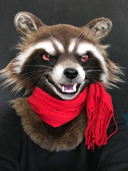 Rocket Raccoon Cosplay