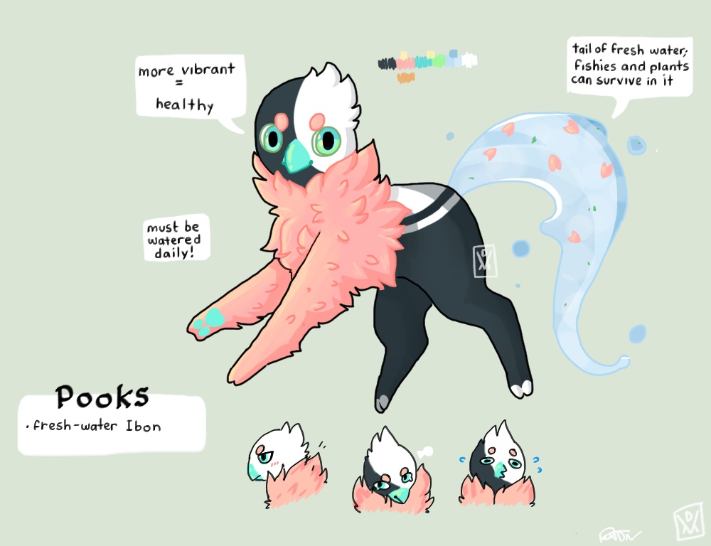 Pooks ref