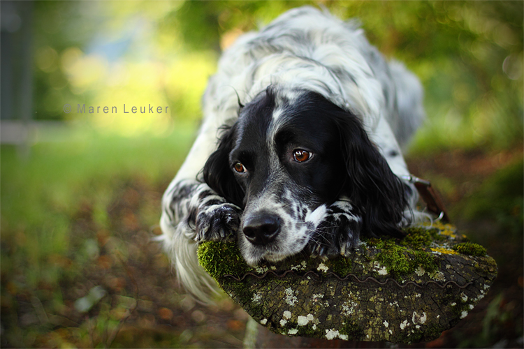 patience III by Maaira patience III by Maaira