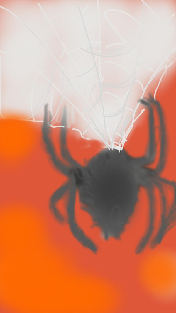 Spider Insect Deviantart SPIDER by decent323 on DeviantArt