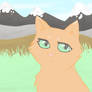 Squirrelflight