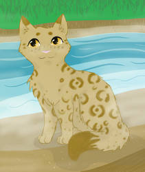 Queen of Riverclan by darkangel1236