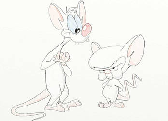 Pinky and the Brain