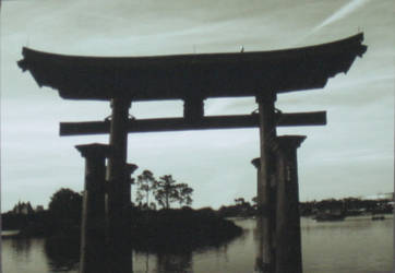 Torii Gate photo