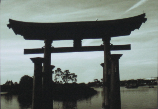 Torii Gate photo