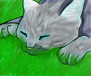 Jayfeather