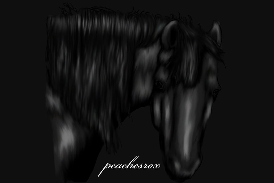 Black Horse