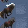 Equine Hair Tutorial