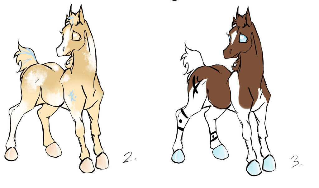 .:Foal Adopts:. -closed -